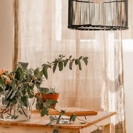 Hébergement de vacances Maison 15