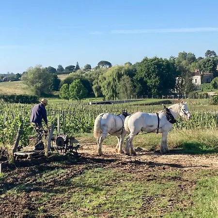 Hébergement de vacances Maison 15
