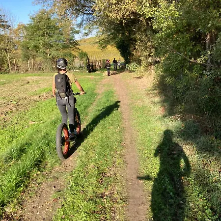 Maison 15 Hébergement de vacances Sauternes