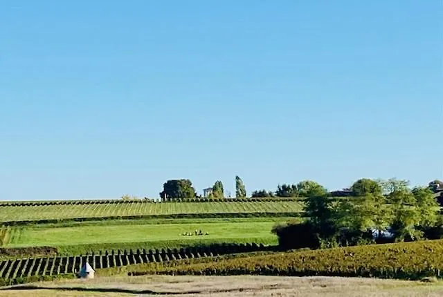 Maison 15 Semesterbostad Sauternes