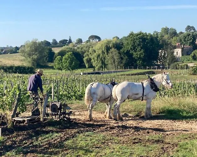Semesterbostad Maison 15