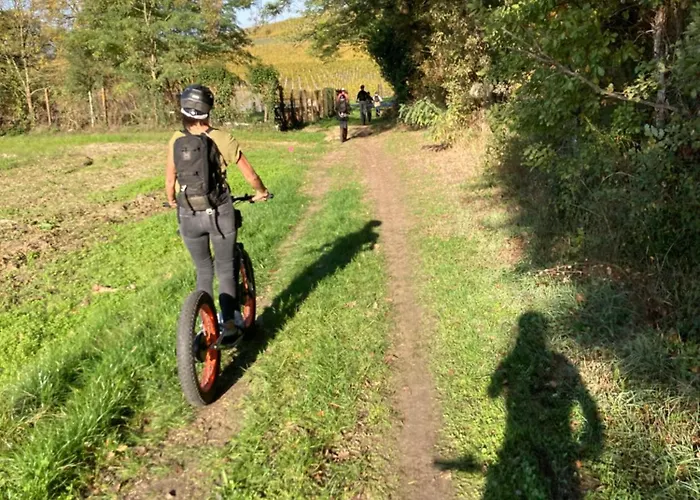 Maison 15 Semesterbostad Sauternes