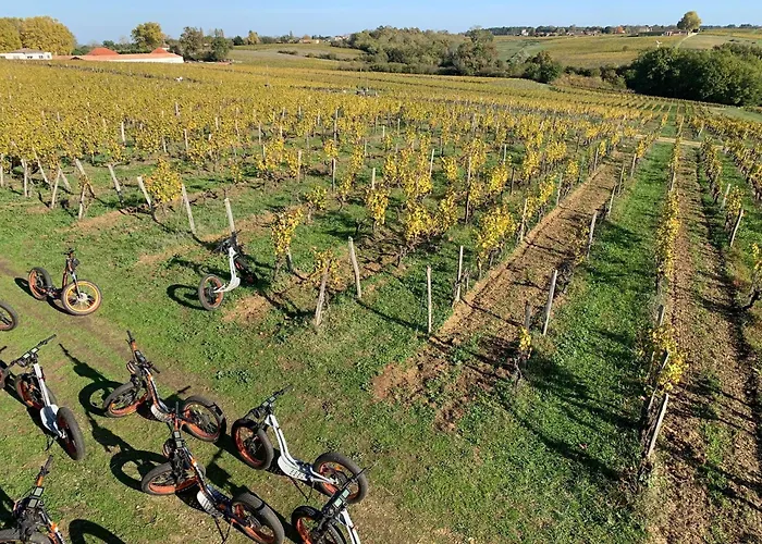 Maison 15 Semesterbostad *